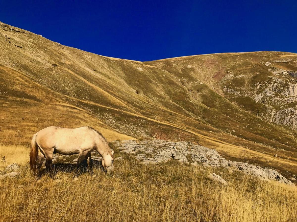 Apartmani El Tarik Bjelašnica Esterno foto